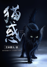 《猫惑》