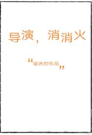 导演消消火txt