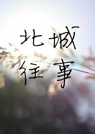 遇见席北城(全文)