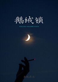 鹅绒锁(全文)