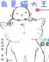 我是猫大王