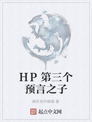 HP第三个预言之子