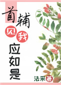 《首辅见我应如是》作者:法采