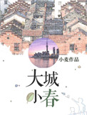 小说大城小春